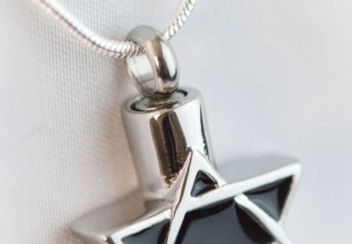 Stainless Steel Star of David Cremation Necklace