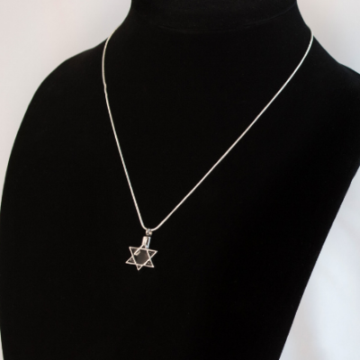 Stainless Steel Star of David Cremation Necklace