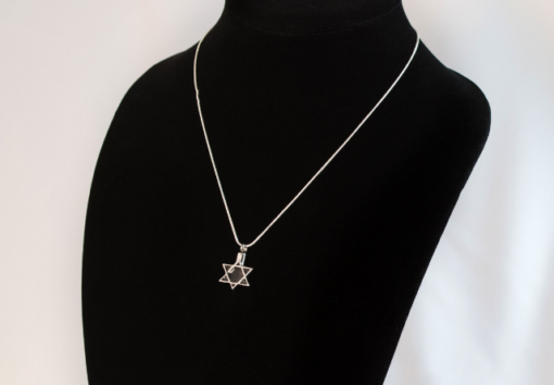 Stainless Steel Star of David Cremation Necklace